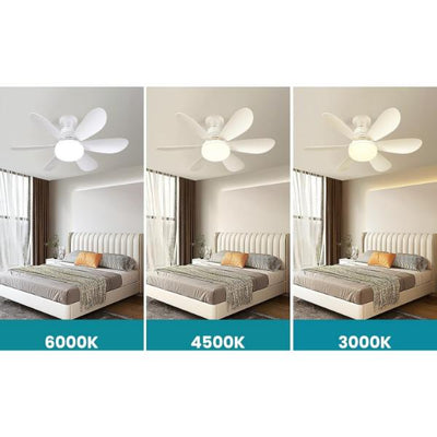 8913e6dd-3c9b-44ac-b39e-18efec636cd6_1