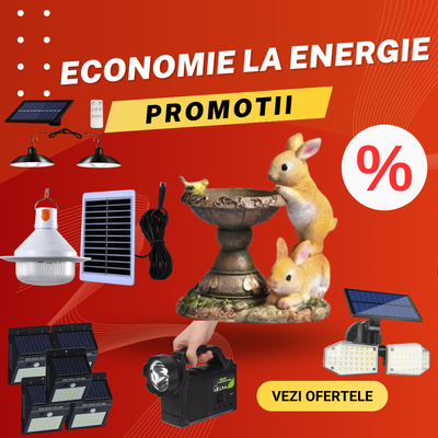 Decoratiuni si Lampi Solare
