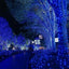 Decoratiune cu Incarcare Solara, 50 metri, 500 led - Albastru + CADOU
