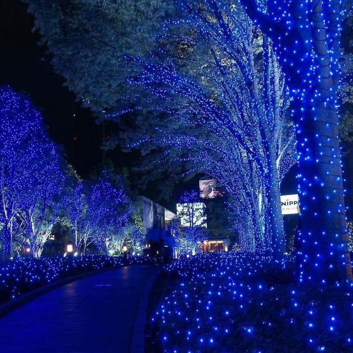 Decoratiune cu Incarcare Solara, 50 metri, 500 led - Albastru + CADOU