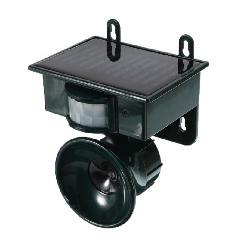 42d87112-af4b-4ee4-9cb0-46676e881d55_1