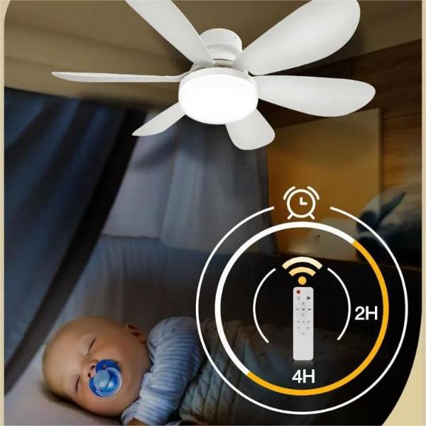 8913e6dd-3c9b-44ac-b39e-18efec636cd6_3