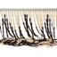 3675-19622.png
