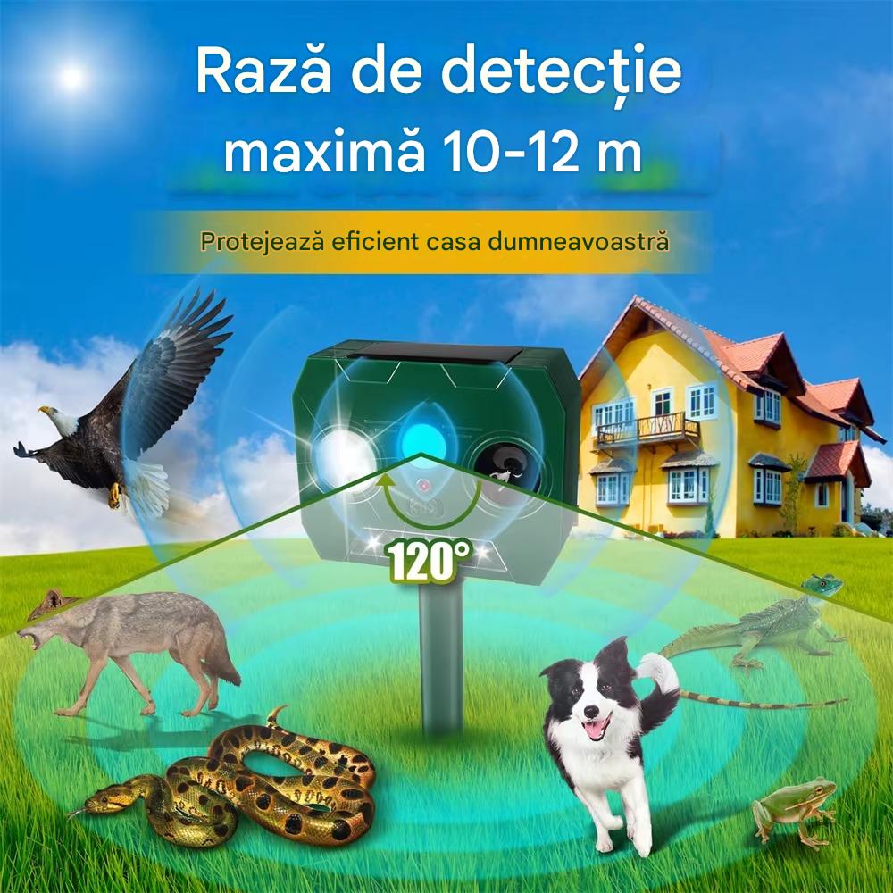 3740-20086.jpg