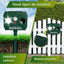 3740-20090.jpg
