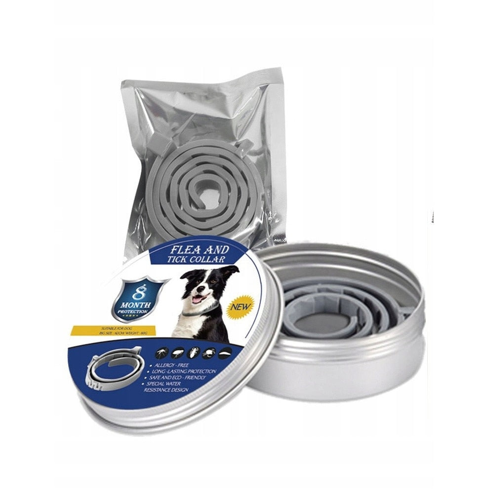 3842-20834.jpg