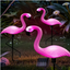 4089-22336.png