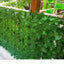 Set 2 x Rola Gard Artificial Decorativ cu Frunze Verzi, 100 x 300 cm, Panou Verde pentru Gradina, Balcon sau Gar