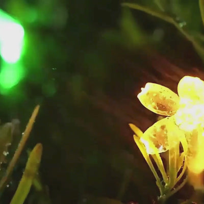 Decoratiune Solara 50 LED Flori Multicolor 5m – Ghirlanda Luminoasa Flori de Cires, 8 Moduri Iluminare, Rezistenta la Apa