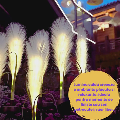 Set 4 x Lampi Solare Decorative Tip Iarba Pampas 70 Cm Cu LED Lumina Calda Rezistente IP66 Pentru Gradina Terasa Si Alei